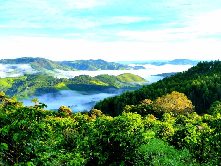 Sítio Serra negra venda bairro mosquito 2