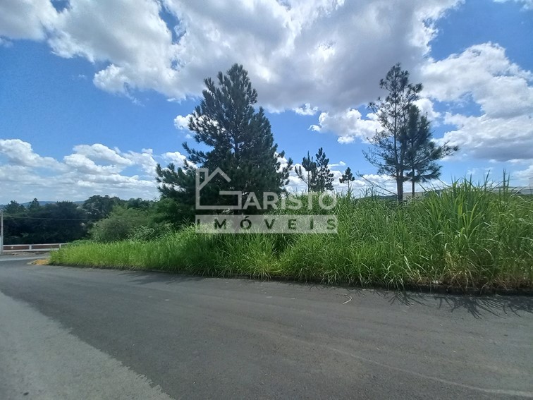Terreno 600m² venda Vila Rica Amparo-SP 4
