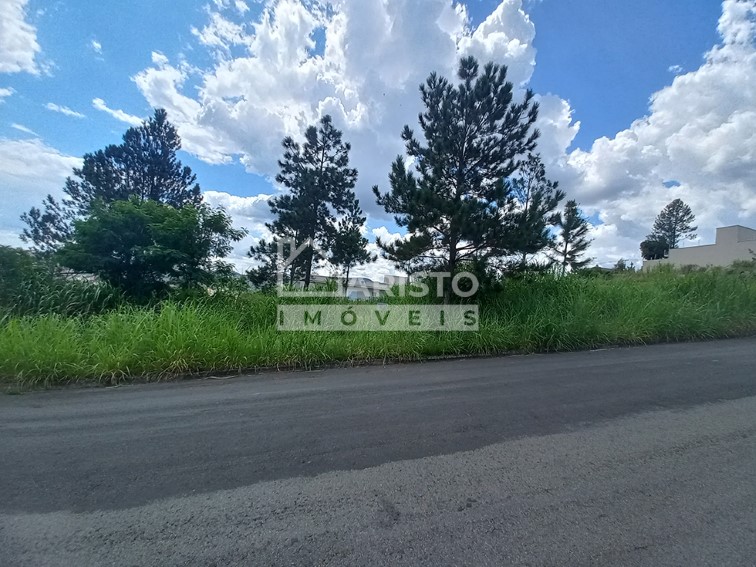 Terreno 600m² venda Vila Rica Amparo-SP 2