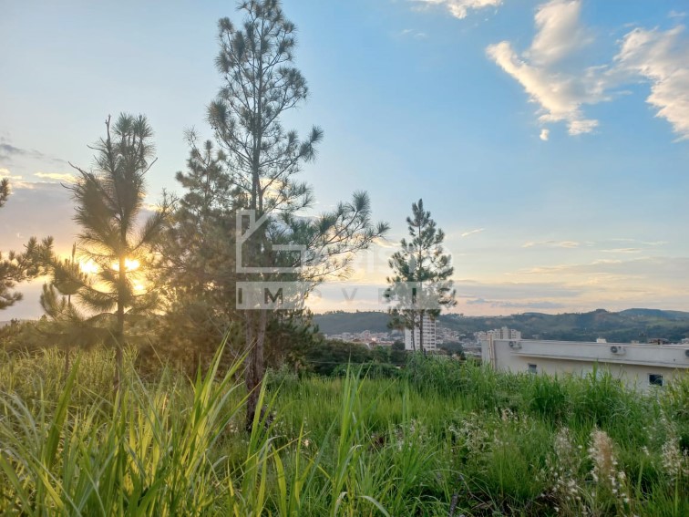 Terreno 600m² venda Vila Rica Amparo-SP 3