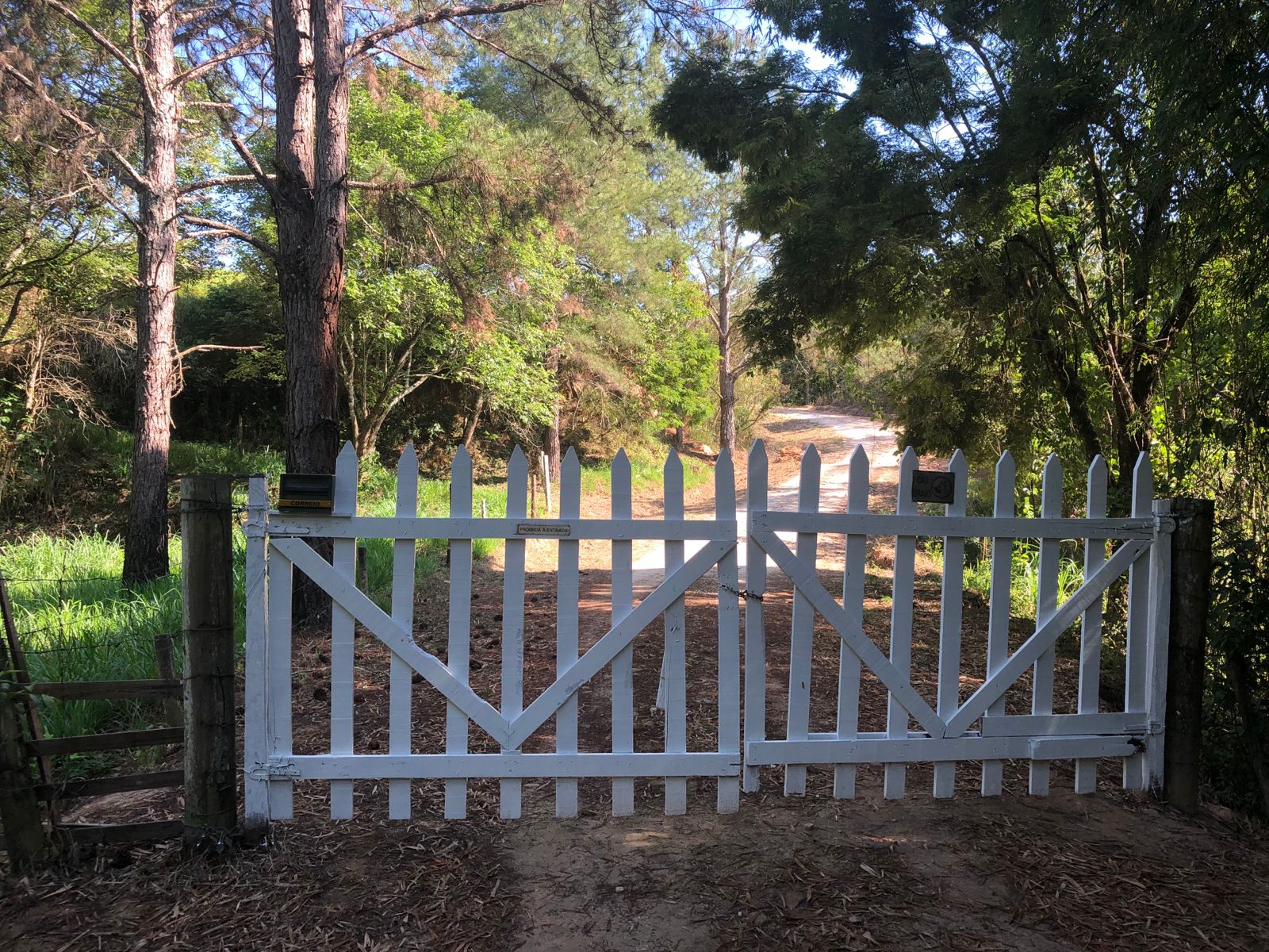 WhatsApp Image 2022-07-20 at 15.26.54 (2)