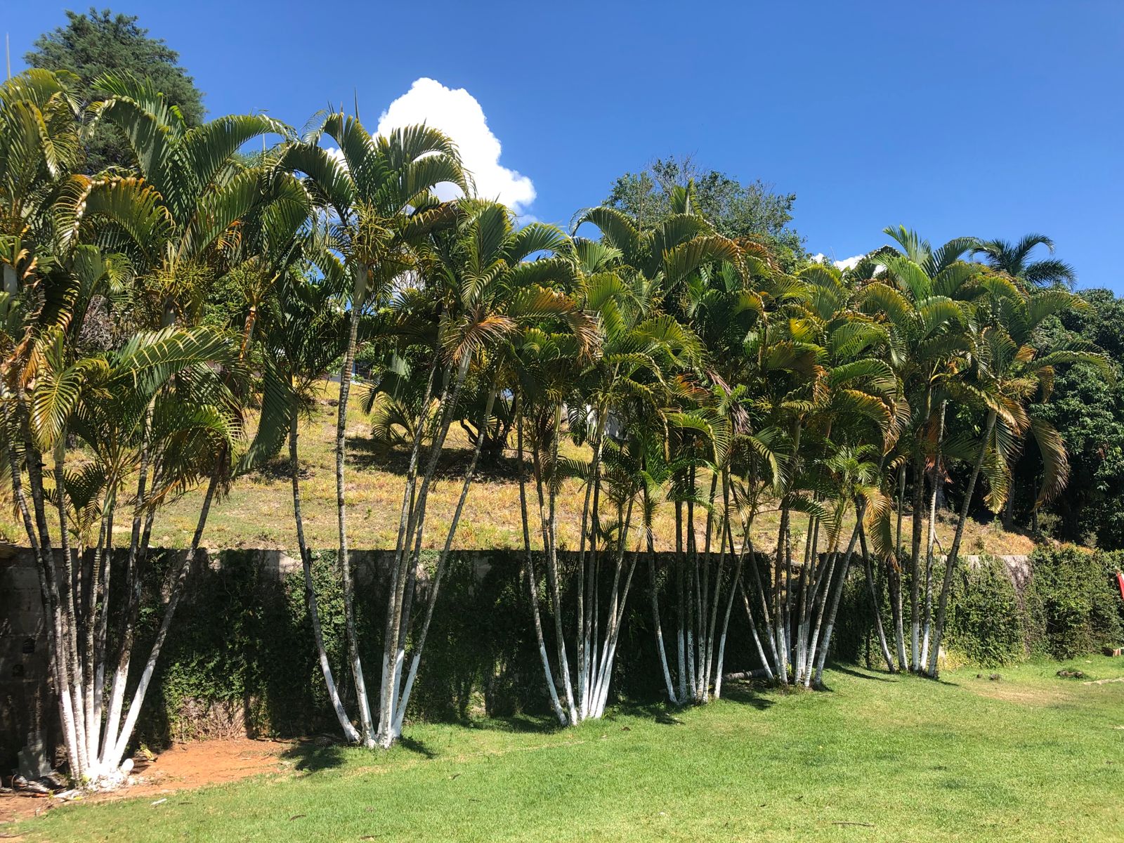 WhatsApp Image 2022-07-20 at 15.26.54 (3)