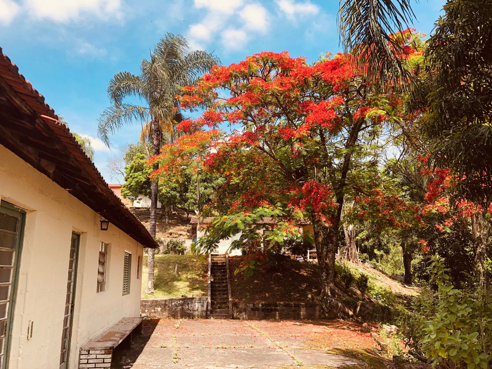 WhatsApp Image 2022-07-20 at 15.26.55 (1)