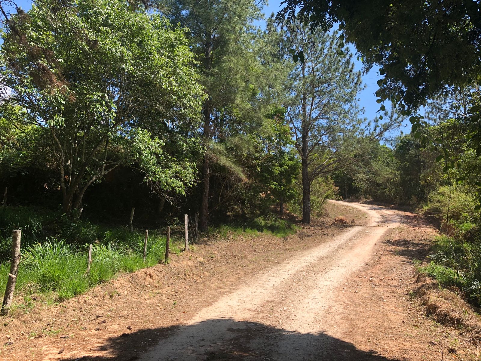 WhatsApp Image 2022-07-20 at 15.26.55 (2)